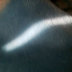 Meet your Posher, Hector